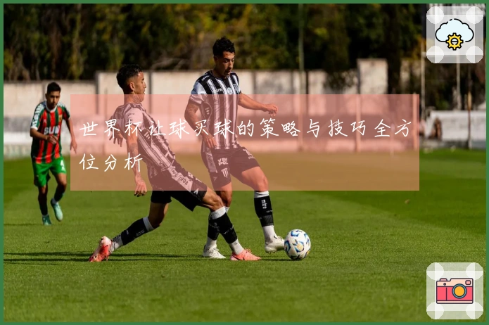 世界杯让球买球的策略与技巧全方位分析