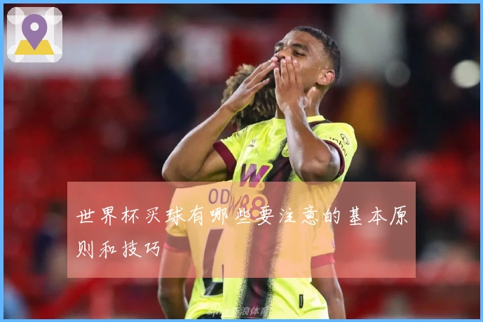 世界杯买球有哪些要注意的基本原则和技巧