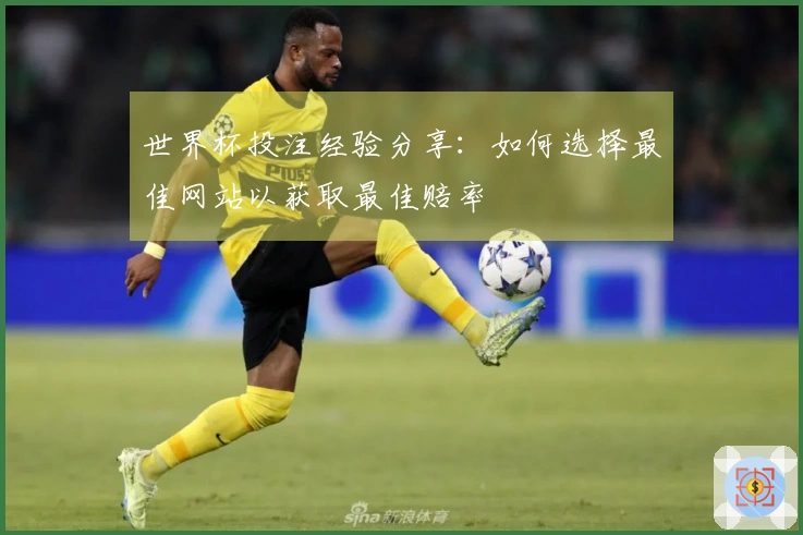 世界杯投注经验分享：如何选择最佳网站以获取最佳赔率