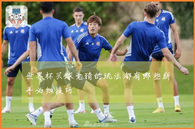世界杯买球竞猜的玩法都有哪些新手必知技巧