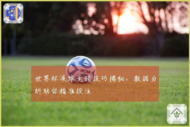 世界杯滚球竞猜技巧揭秘，数据分析助你精准投注