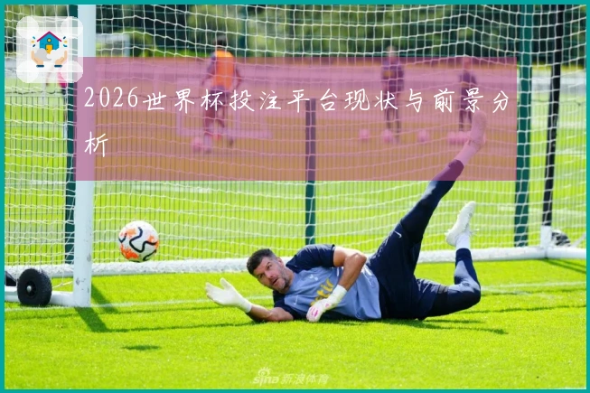 2026世界杯投注平台现状与前景分析