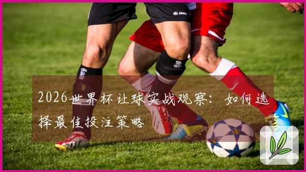 2026世界杯让球实战观察：如何选择最佳投注策略