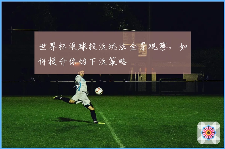 世界杯滚球投注玩法全景观察，如何提升你的下注策略