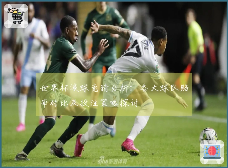 世界杯滚球竞猜分析：各大球队赔率对比及投注策略探讨