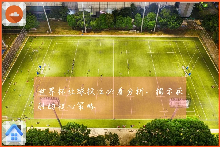 世界杯让球投注必看分析，揭示获胜的核心策略
