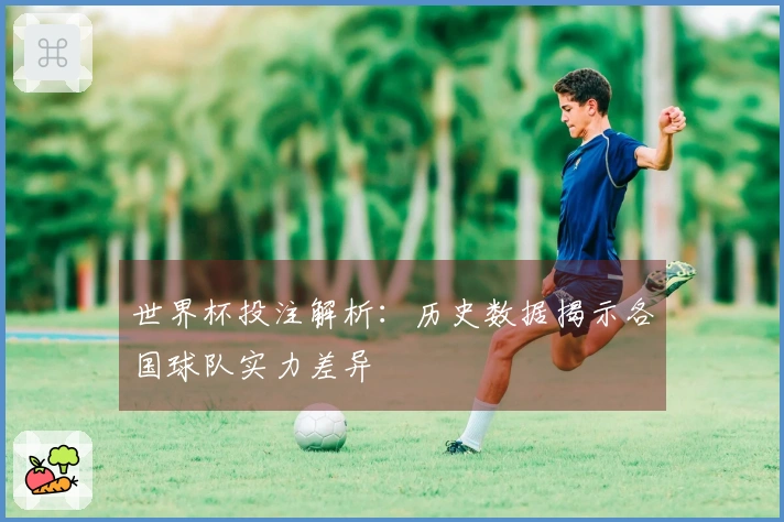 世界杯投注解析：历史数据揭示各国球队实力差异