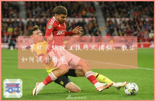 世界杯买球投注技巧大揭秘，教你如何提升胜率